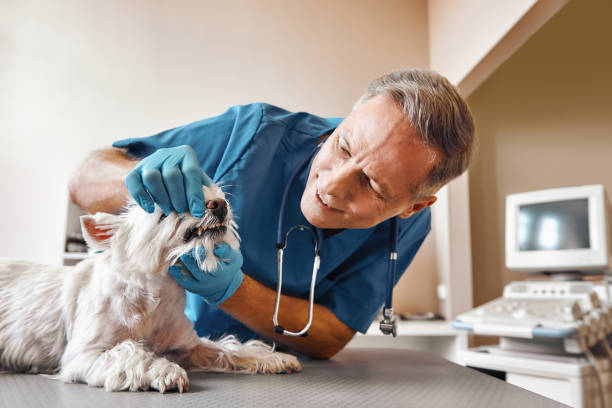 Best Emergency Tooth Extraction in Middleport, OH